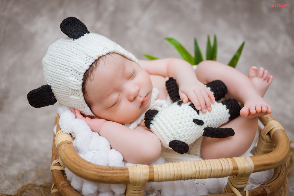 album ảnh newborn 23